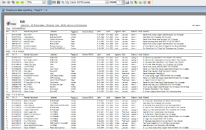 Payroll ( penggajian ) - Laporan data karyawan print priview